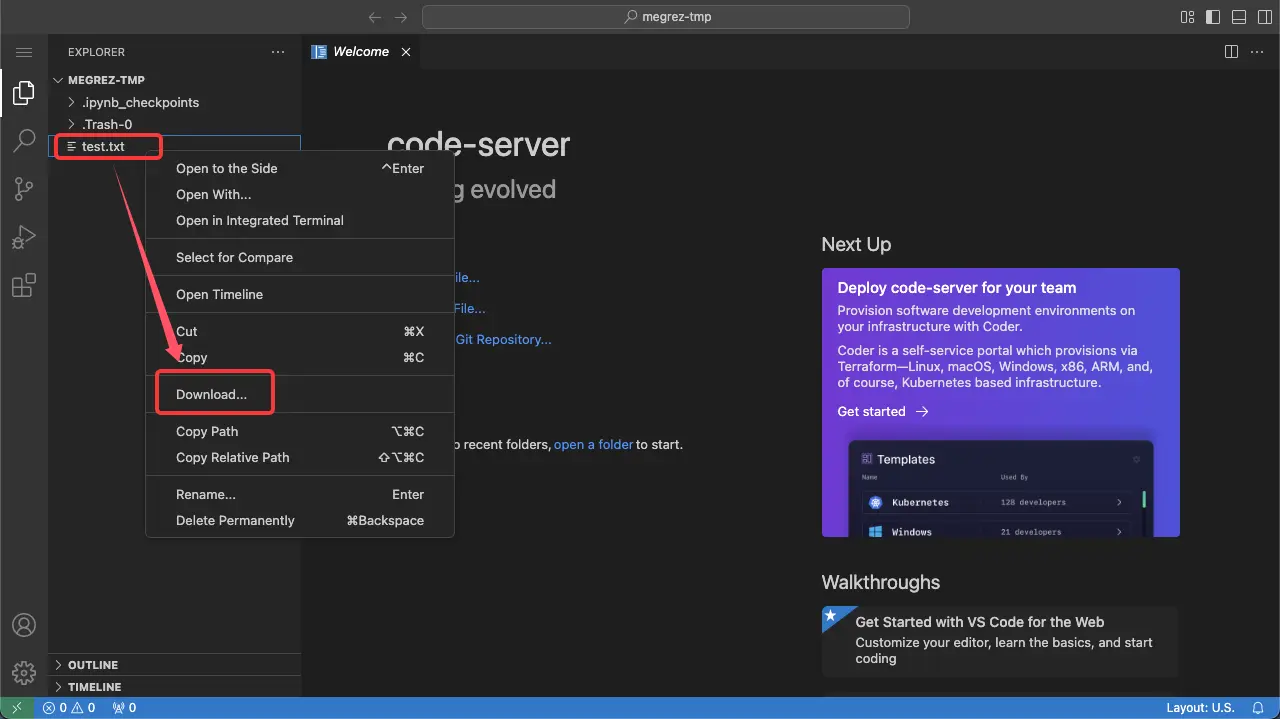 在线 VSCode 下载数据