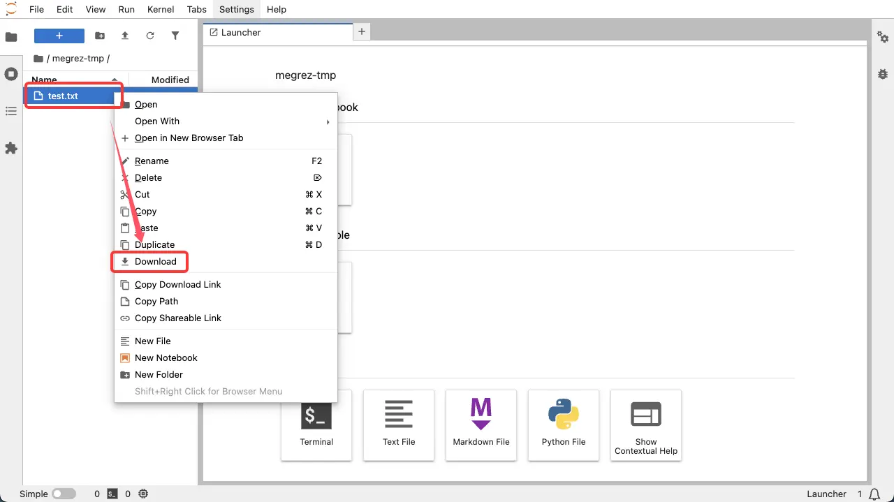 Jupter Lab 下载数据